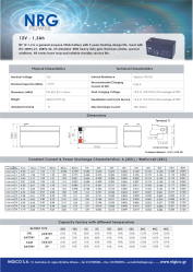 BATTERY NRG NP 1.3Ah