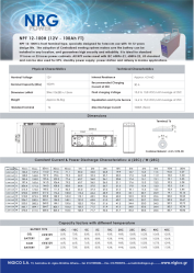 BATTERY NRG NPF 100Ah