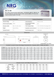 BATTERY NRG NP 100Ah