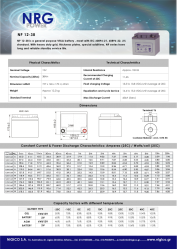 BATTERY NRG NP 38Ah