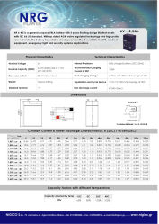 BATTERY NRG NP